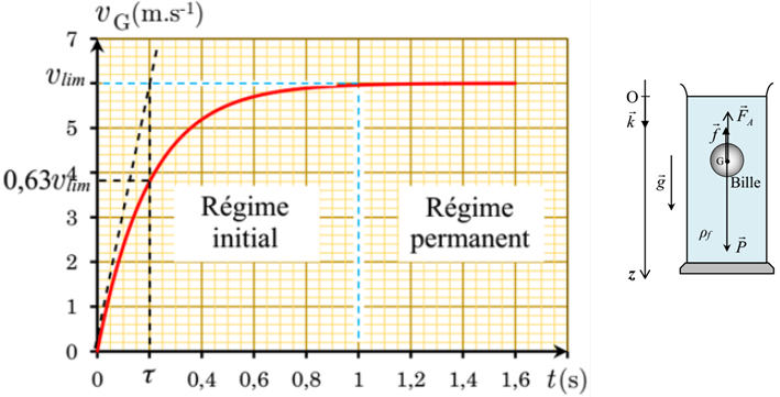 Chute verticale avec frottement | Vitesse limite & méthode d&rsquo;Euler